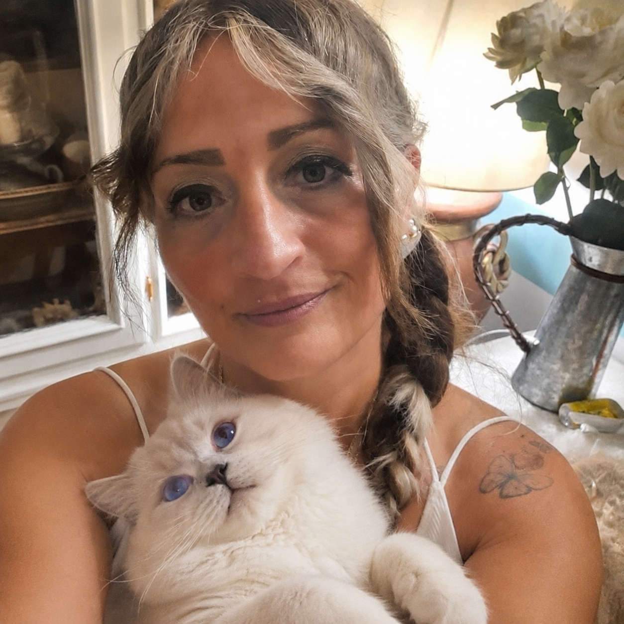 allevamento Ragdoll Asti – Cucciolo Ragdoll con pedigree, doppia vaccinazione | Crystalis Ragdoll 46c4a321 ee30 41a7 82bb 8bf267e33428 – Cucciolo Ragdoll | Crystalis Ragdoll